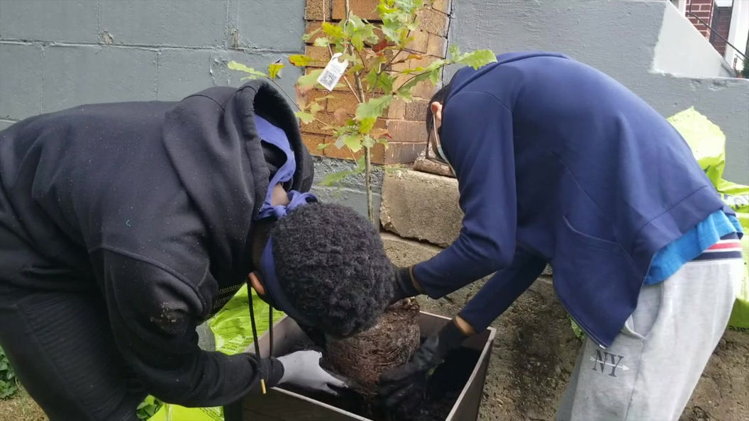 Oasis Teens Environmental Program